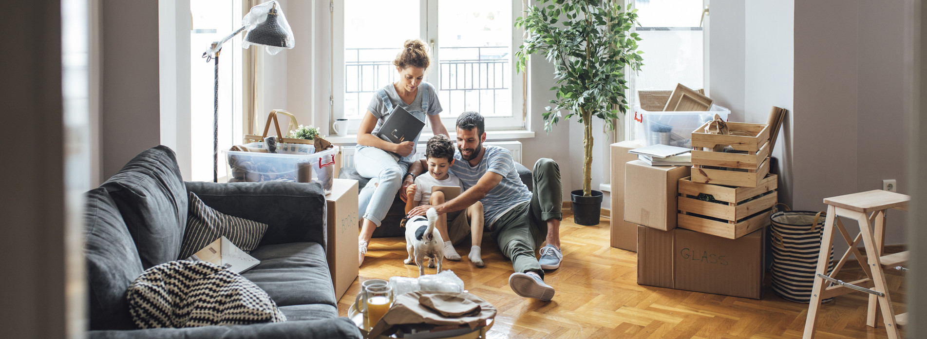 Alser à Sainte Maxime, membre du réseau expert Vachette